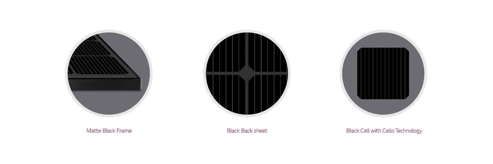 Black Cell LG Solar Panels